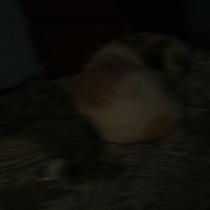 Meet your Posher, Sharyn